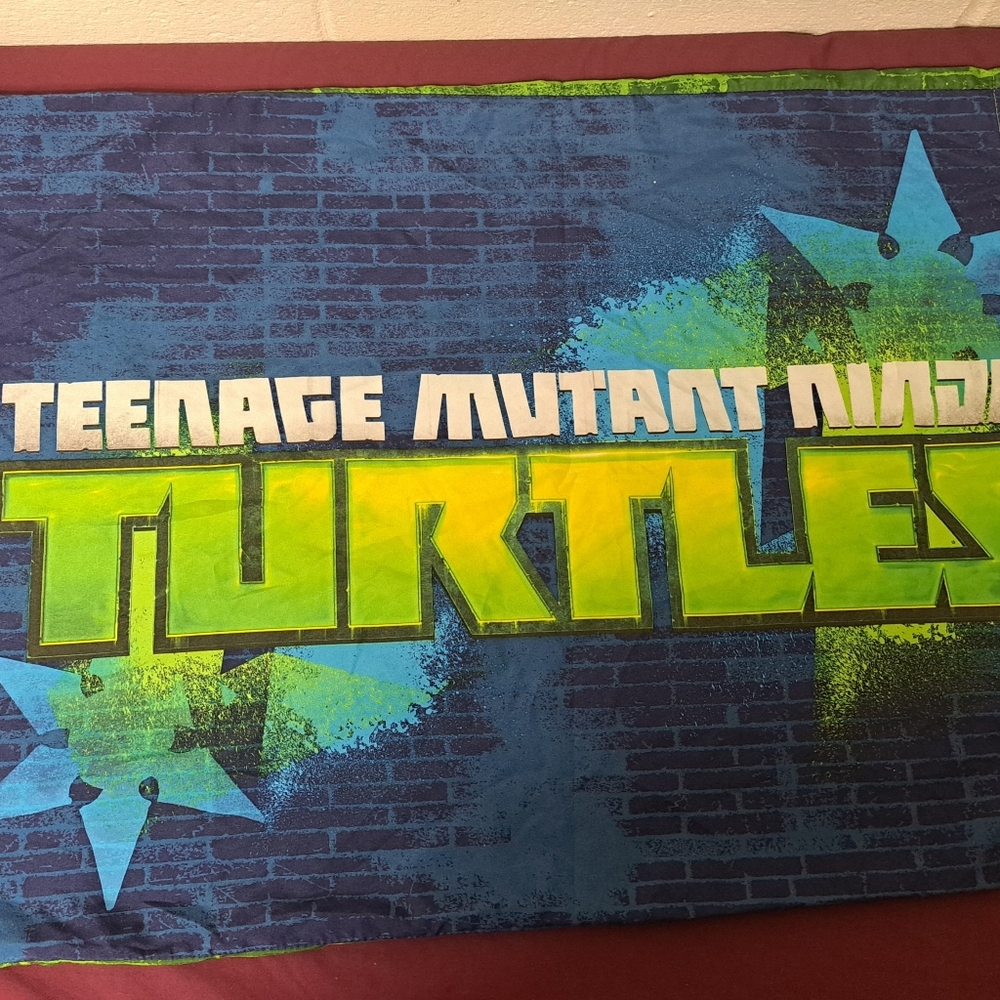 2pc Set TMNT Time To Shell Up Standard Size Pillowcases - Picture 3 of 5